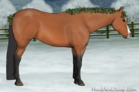 Horse Color:Bay Splash 