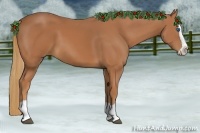 Horse Color:Chestnut Splash 
