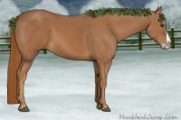 Horse Color:Chestnut Splash Rabicano 