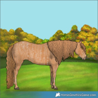 Horse Color:Brown Pearl  Brindle