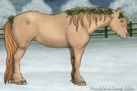 Horse Color:Gold Champagne 