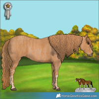 Horse Color:White Spotted Black Pearl  Brindle