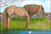 Horse Color:Brown Ice  Brindle