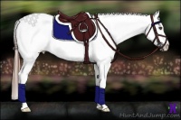 Horse Color:Brown Sabino Blanket Rabicano 