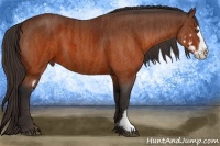 Horse Color:White Spotted Brown Splash Frame Brindle