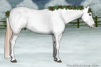 Horse Color:Chestnut Appaloosa