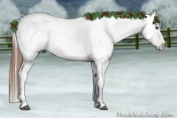 Horse Color:Chestnut Appaloosa