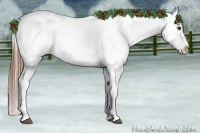 Horse Color:Chestnut Appaloosa