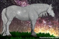 Horse Color:ERROR: UNKNOWN ANOMALY Brindle