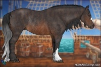 Horse Color:Brown Rabicano Brindle