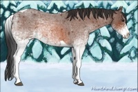Horse Color:White Spotted Bay Roan Splash Tobiano 