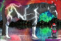 Horse Color:Black  Brindle