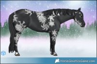 Horse Color:Black Ice  Brindle