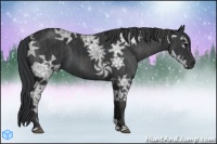 Horse Color:Black Ice  Brindle