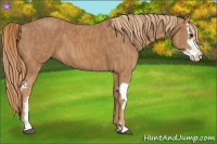 Horse Color:Chestnut Splash Frame  Brindle
