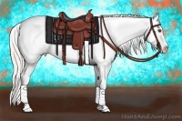 Horse Color:White Spotted Silver Bay Dun Appaloosa