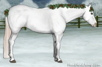 Horse Color:Chestnut Appaloosa