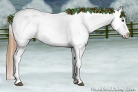 Horse Color:Chestnut Appaloosa