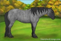 Horse Color:Blue Roan Brindle