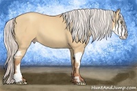 Horse Color:Silver Sable Champagne Dun Splash Frame