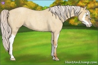 Horse Color:Silver Classic Champagne Roan Dun Splash Frame