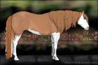 Horse Color:Chestnut Splash 