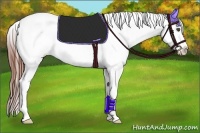 Horse Color:Grullo Roan Appaloosa