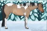 Horse Color:Bay Roan Dun Tobiano