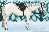 Horse Color:Smoky Creme Roan Dun Tobiano 
