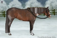 Horse Color:Liver Chestnut Sabino  Brindle