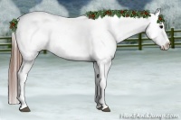 Horse Color:Grullo Roan Sabino Appaloosa 