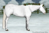 Horse Color:Chestnut Sabino Appaloosa