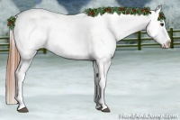 Horse Color:Chestnut Sabino Appaloosa 