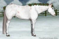 Horse Color:Bay Sabino Appaloosa