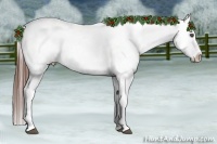 Horse Color:Brown Sabino Splash Appaloosa