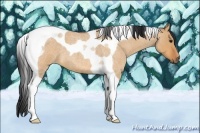 Horse Color:Bay Roan Dun Tobiano