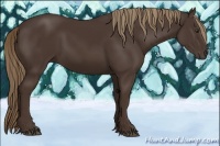 Horse Color:Liver Chestnut Sabino 