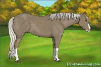 Horse Color:Silver Smoky Black Splash 