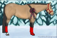 Horse Color:Buckskin Sabino