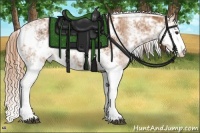 Horse Color:Chestnut Sabino 