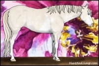 Horse Color:Perlino Sabino  Brindle