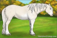 Horse Color:Cremello Sabino  Brindle