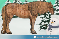Horse Color:Brown Sabino Brindle
