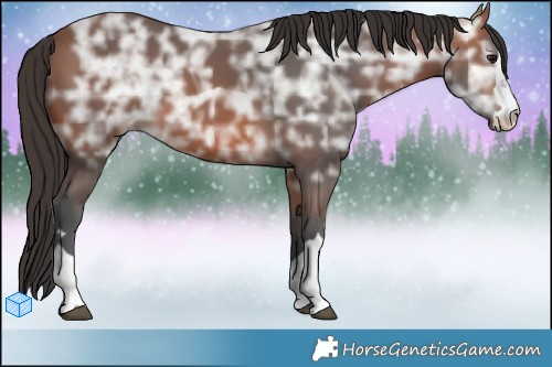 Horse Color:Brown Ice  Brindle