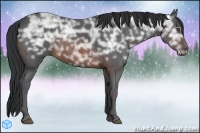 Horse Color:Brown Ice  Brindle