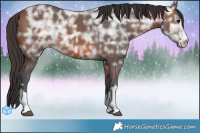 Horse Color:Brown Ice  Brindle