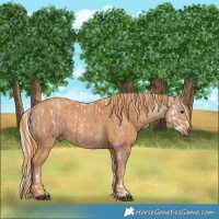 Horse Color:Silver Brown Ice Sabino  Brindle