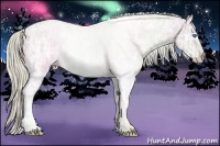 Horse Color:Cremello Ice Brindle