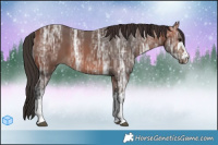 Horse Color:Brown Ice  Brindle