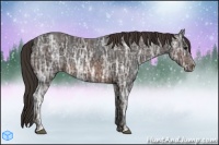 Horse Color:Brown Ice  Brindle